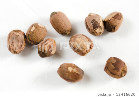 dry lotus seeds 12416620