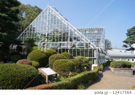 東京 都 薬用 植物園 東京都健康安全研究センター 東京都薬用植物園 Stg Origin Aegpresents Com