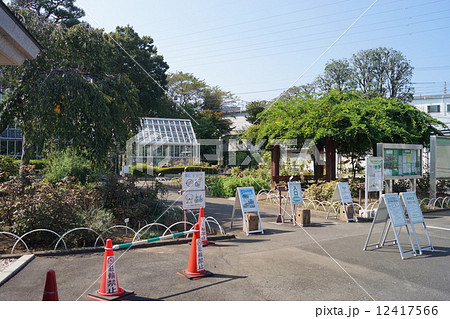 東京都薬用植物園 東京都薬用植物園 12417566
