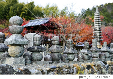 化野念仏寺 秋 12417607