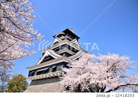 春の熊本城 春の熊本城 12418203