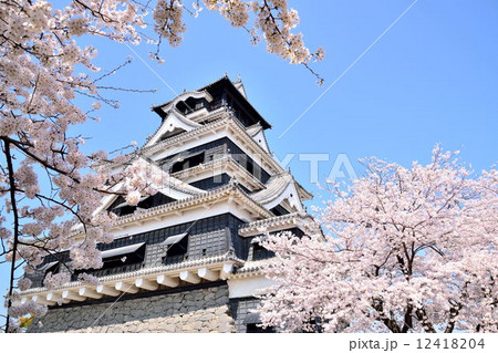 春の熊本城 12418204