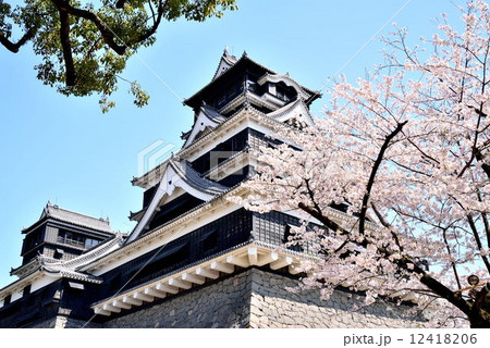 春の熊本城 春の熊本城 12418206