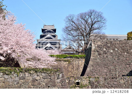 春の熊本城 12418208