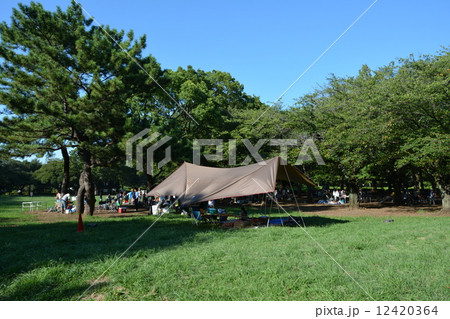 キャンプ キャンプ 12420364