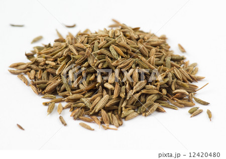 クミンシード クミンシード 12420480