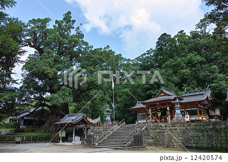 鹿児島県・蒲生八幡神社と蒲生の大楠 12420574