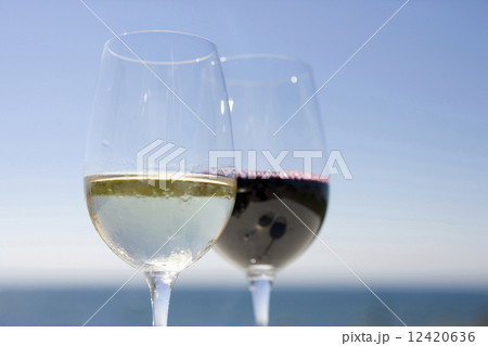 白ワインと赤ワイン 白ワインと赤ワイン 12420636