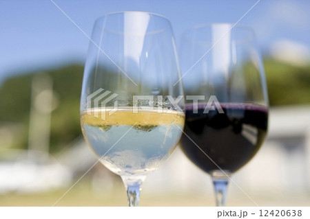 白ワインと赤ワイン 白ワインと赤ワイン 12420638