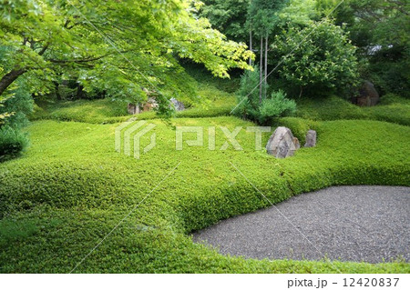 萬松山興禅寺界隈（昇龍の庭） 12420837