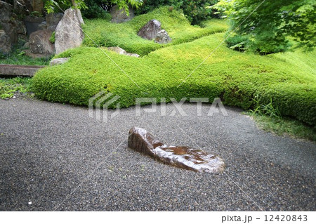 萬松山興禅寺界隈(昇龍の庭) 萬松山興禅寺界隈(昇龍の庭) 12420843