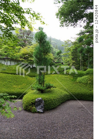 萬松山興禅寺界隈(昇龍の庭) 萬松山興禅寺界隈(昇龍の庭) 12420844