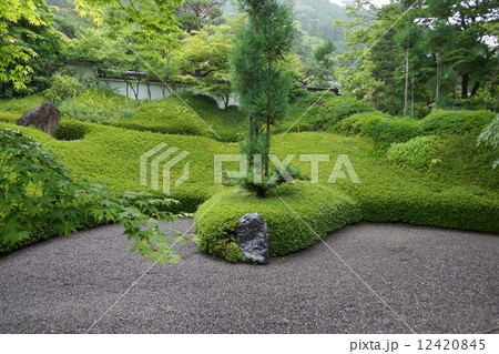 萬松山興禅寺界隈(昇龍の庭) 萬松山興禅寺界隈(昇龍の庭) 12420845