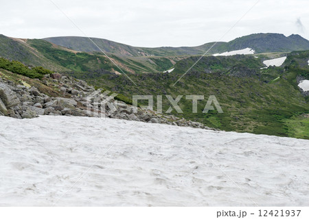 黒岳岩室付近（雪田） 12421937