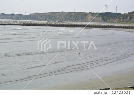 屏風ヶ浦（千葉県銚子市） 12422021