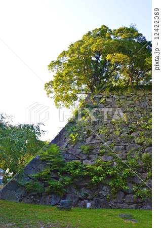 福岡城の石垣(水の手御門付近/福岡県福岡市中央区) 福岡城の石垣(水の手御門付近/福岡県福岡市中央区) 12422089