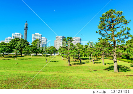 臨港パークから眺める横浜みなとみらい(神奈川県横浜市西区) 臨港パークから眺める横浜みなとみらい(神奈川県横浜市西区) 12423431