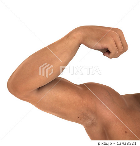 男性の腕のイラスト素材
