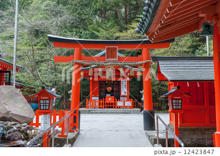 九頭龍神社新宮鳥居 12423847