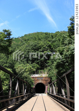 大日影トンネル遊歩道 12423963
