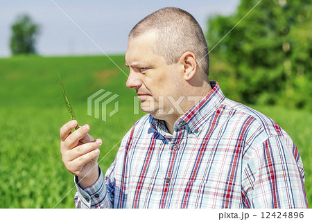 Farmer with green ears near cereals field Farmer with green ears near cereals field 12424896