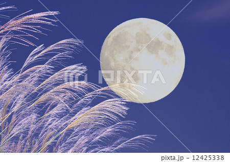 月とススキ 12425338