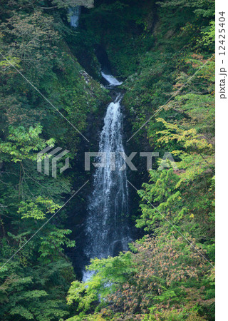 丸神の滝 12425404