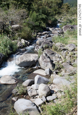 津民川の流れ 12425746