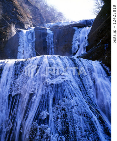 冬の袋田の滝 12425819