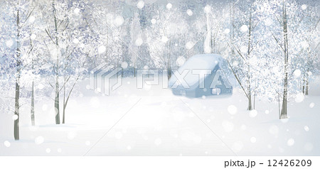 Vector winter snow landscape. 12426209