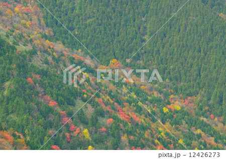 恵那山の紅葉 恵那山の紅葉 12426273