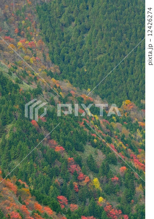 恵那山の紅葉 恵那山の紅葉 12426274