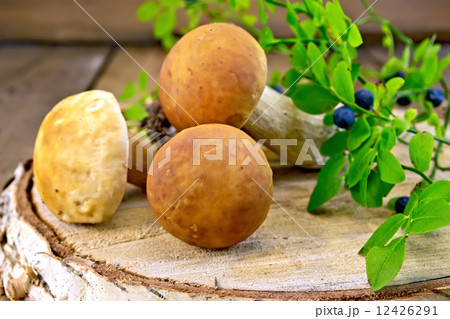 Ceps with blueberries on birch billet Ceps with blueberries on birch billet 12426291