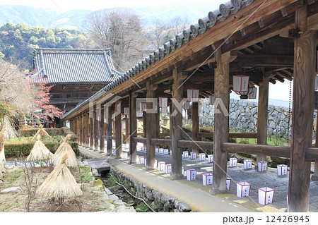 長谷寺 長谷寺 12426945