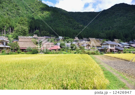 美山1 美山1 12426947