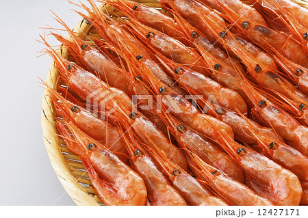 アマエビ アマエビ 12427171