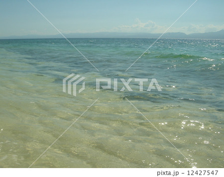 Moalboal-11 Moalboal-11 12427547