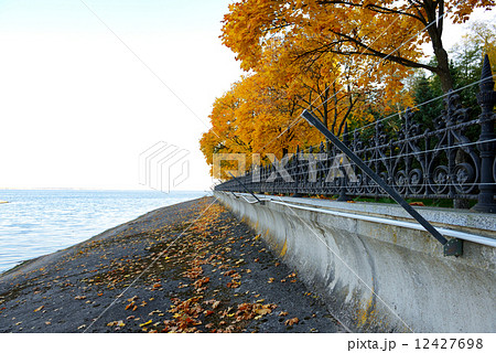 The high voltage wires for security protection of Mezhigirya 12427698