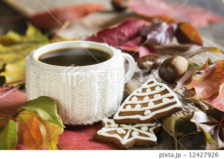 Hot tea and ginger biscuits. 12427926