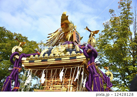 大江戸神輿祭り 大江戸神輿祭り 12428128