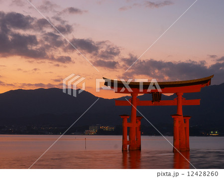 宮島・大鳥居 12428260