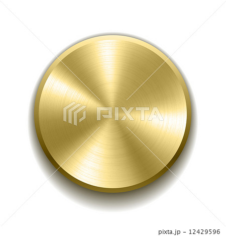 Realistic metal button Realistic metal button 12429596