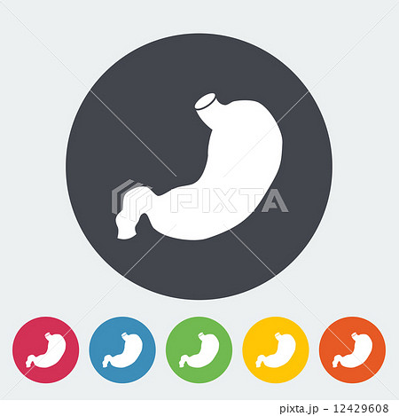 Stomach icon. 12429608