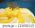 黄色と白の手作り桃ケーキ 12430115