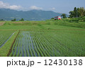 初夏の南阿蘇鉄道 12430138
