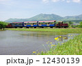 春の水田とトロッコ列車 12430139