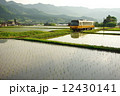 田植えの季節のローカル線 12430141