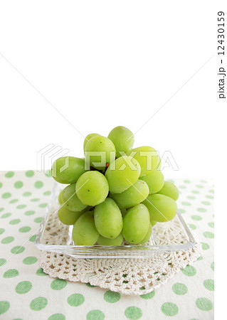 マスカット 12430159