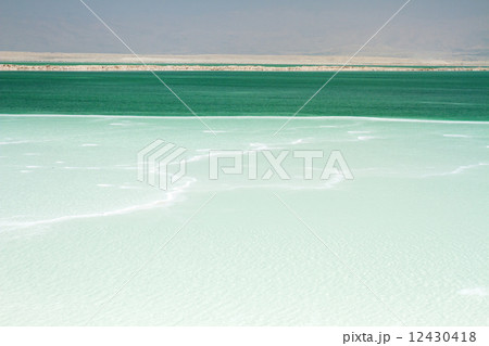 Beautiful coast of the Dead Sea . 12430418