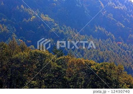 初秋の瑞牆山 12430740